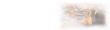 |YԴc|