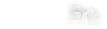 оI